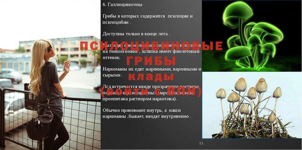 эйфоретик Бугульма