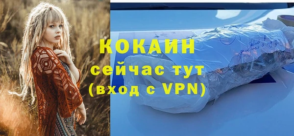 стафф Бронницы